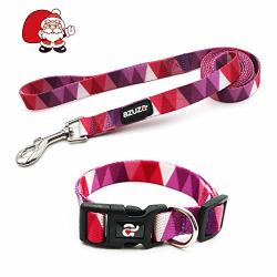 Azuza Dog Collar And Leash Set Adjustable Nylon Collar With Matching Leash Purple Flag For Medium Dogs