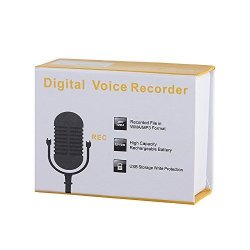 8G Professional Digital Recording Digital Voice Recorder U Disk