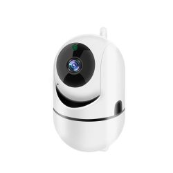 Wireless 2.4G Surveillance Outdoor Baby Ip Camera Cloud Storage
