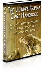 The Ultimate Iguana Care Handbook - Ebook