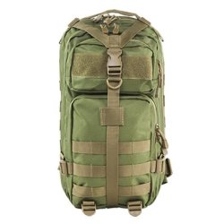 Nc Star Small Backpack - Green With Tan Trim