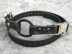 bungee collar for e collar
