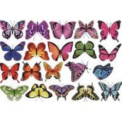 Meister Anti-collision Window Decals - Butterfly Decals Set D - Sticks With Static