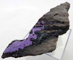 Sugilite Crystals On Matrix N'chwaning Iii South Africa