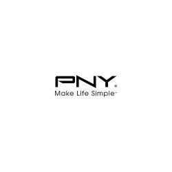PNY GFORCE CONSUMER Pny Geforce 8 8400GS - Graphics Card - Gf 8400 Gs - 1 Gb DDR3 - Pcie 2.0 X16 Low Profile - DMS-59 - Fanless