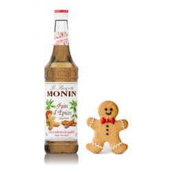 Monix Monin Gingerbread Flavoured Syrup