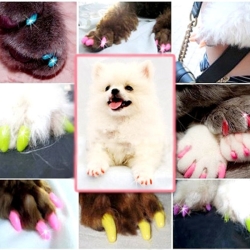 S Size Multi-color Soft Dog Pet Nail Caps Claw Contril Paws Off