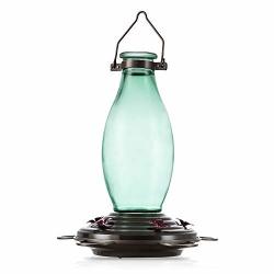 Bolite 18001 Hummingbird Feeder Glass Wild Bird Feeders Retro Edison Bulb Bottle 25 Ounces