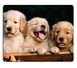 Golden Retriever Dogs Puppies Pets Mouse Pads Customized Made To Order Support Ready 9 7 8 Inch 250MM X 7 7 8 Inch 200MM X 1 16