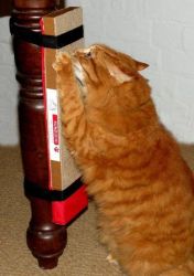 Kunduchi Super Catnip Cat Scratching Post