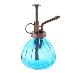 Deals On Calunce Mini Clear Glass Decorative Retro Water Spray