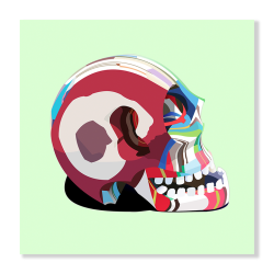 Flip Flop Skull Art Print - A3