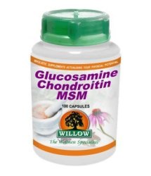 Willow - Glucosamine Chrondrotin Msm 100 Capsules