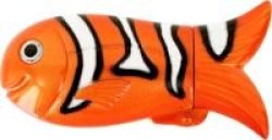 Pylones Orange Clown Fish Lighter Case