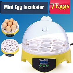 Egg Incubator Noeler Digital Incubators For Chicken Duck Goose Quail Birds Fertile Eggs For Hatching 7 Eggs Incubators Easy Use