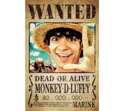 - Monkey D. Luffy Wanted - 61 X 91.5CM Maxi Poster