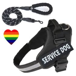 Pet Adjustable Service Dog Harness With Lead Black & Heart Sticker