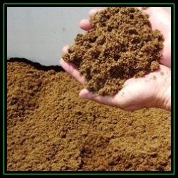 1 Litre Canadian Sphagnum Peat Moss - Seed Germination Grow Medium - Growing Aids