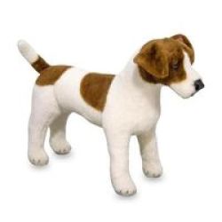 bichon frise and shih tzu mix