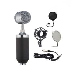 Condenser Studio Record Dynamic Microphone