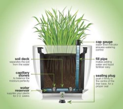 Plantr Self Watering Liner
