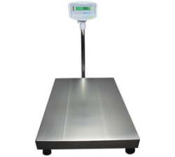 300KG X 20G Floor Check Weighing Scales