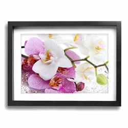 Bil Yopin Canvas Wall Art White Orchid Flowers Framed Oil