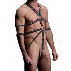 Full body harness bondage