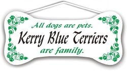 Kerry Blue Terriers Are Family