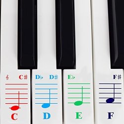 DVN Products LLC Piano Stickers For 49 61 76 88 Key Keyboards Transparent And Removable With Free Piano Ebook