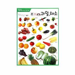 Hangul Educational Posters For Toddlers And Kids Learning Vegetable Names- Perfect For Children Preschool & Kindergarten Classroom 20.8 In X 30.3 In