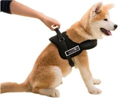 dog walking harness vest