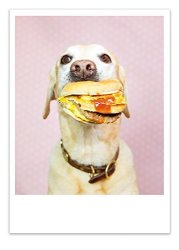 Palm Press Inc. - Birthday Card Dog With Burger - 1 Card & Envelope - Printed In Usa