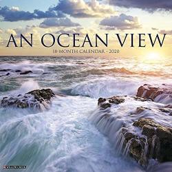 2020 Ocean View Wall Calendar By Willow Creek Press