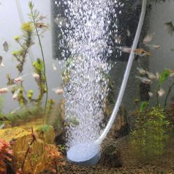 Pro Air Bubble Stone Aerator Aquarium Fish Tank Pond Pump Hydroponic Oxygen - 1PC 40MM X15MM