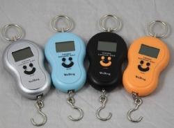 Electronic Hanging Luggage fish Portable Digital Weight Scale. Collections Are Allowed.