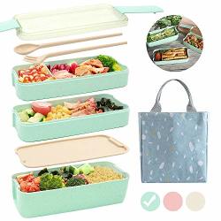 eco friendly lunch boxes for adults