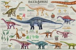 36 X 24 Sauropods Dinosaur Poster