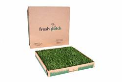 Fresh patch outlet training