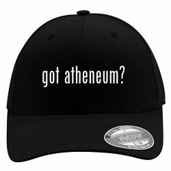 Got Atheneum? - Men's Flexfit Baseball Cap Hat Black Large x-large