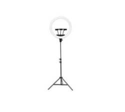 Dw 22 Inch LED Ring Light With Heavy Duty Tripod Stand And 3 Phone HOLDERS-ZB-F488