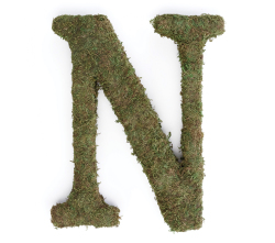 Large 15 Inch Moss Monogram - N