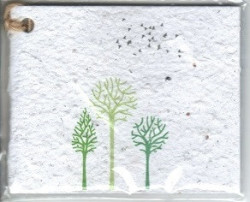 Growing Paper - Single Gift Tag - Mini Forest