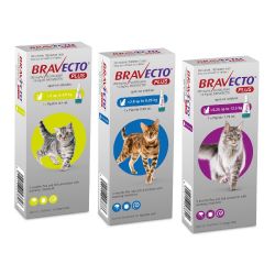 Bravecto Plus Spot-on For Cats - Medium 2.8 - 6.25KG