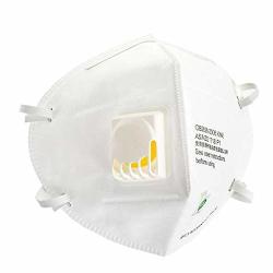 N95 Particulate Respirator Dust Masks Disposable Anti-pollution Surgical Mask- Anti-dust Smoke Gas Allergies Germs And Personal Protective Equipment For Men And Women