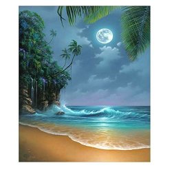 Blxecky Mobicus 5D Diy Diamond Painting By Number Kitsseaside Moon Beach 16X20INCH 40X50CM