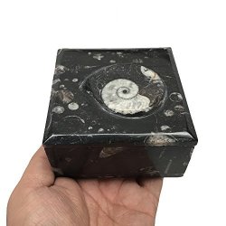 582 Grams 3.6" X 2.2" Square Shape Orthoceras Handmade Black Jewelry Box From Morocco MF755
