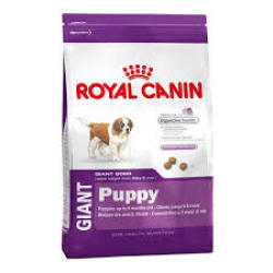 Royal Canin Giant Puppy 15kg - In Pta jhb