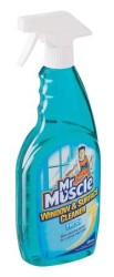 Fresh Window & Surface Cleaner Trigger 750ML