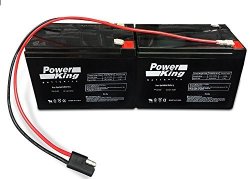 12V 10AH New Battery For Ezip Scooter 4.0 4.5 400 450 500 - Includes New Wiring Harness 2 Pack Beiter Dc Power